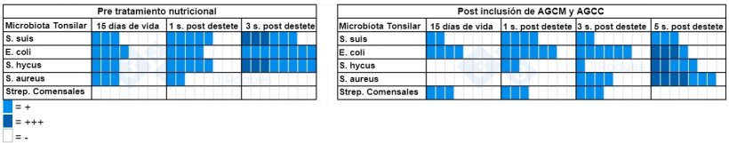 Tabla 2. N&uacute;mero de muestras positivas a cultivo antes y despu&eacute;s de la incorporaci&oacute;n de ACGM y AGCC.
