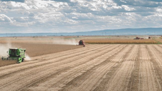Argentina: cómo comenzó la cosecha de Soja y Maíz Noticias - Main Image