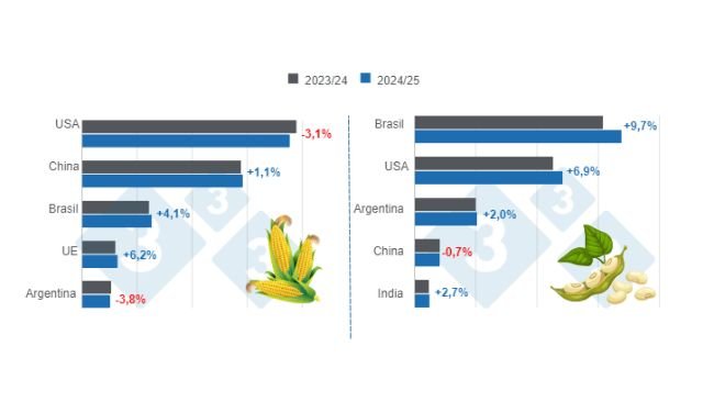 Gráfico 1. Proyección de cosecha para los principales productores mundiales de maíz y soya - campaña 2024/25 versus ciclo 2023/24. Elaborado por el Departamento de Economía e Inteligencia de Mercados con datos de FAS – USDA.
