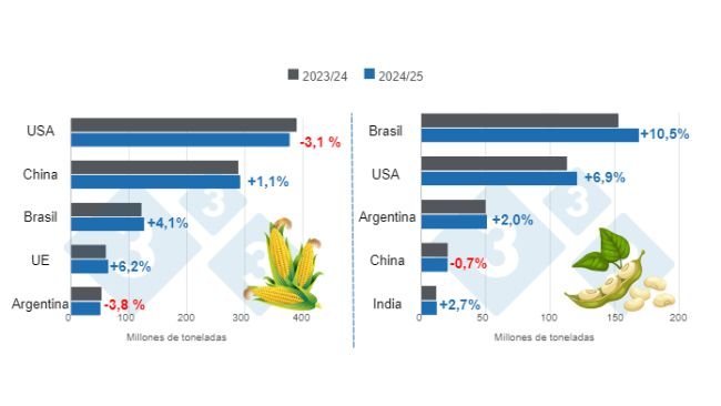 Gráfico 1. Proyección de cosecha para los principales productores mundiales de maíz y soya - campaña 2024/25 versus ciclo 2023/24. Elaborado por el Departamento de Economía e Inteligencia de Mercados con datos de FAS – USDA.