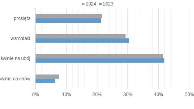 Structure of the pig population in Poland. Source: Central Statistical Office.