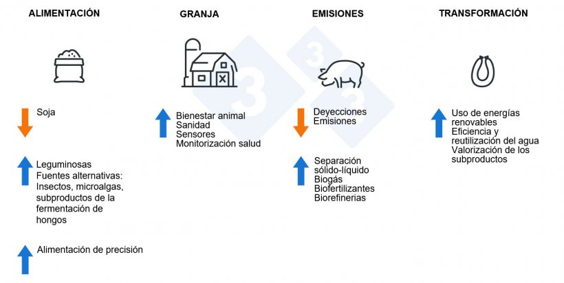 ¿Cómo hacer el sector porcino más sostenible?