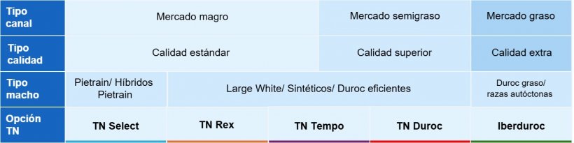 Tabla 1. Segmentaci&oacute;n mercado Espa&ntilde;a y tipos de verracos.
