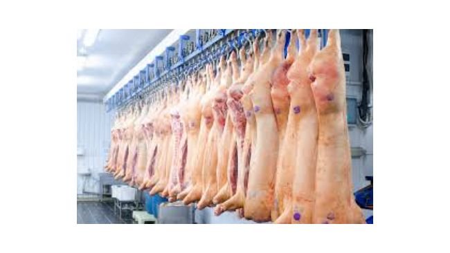 экспорт свинины