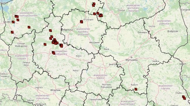 ASF outbreaks in pigs 2024. Source: Chief Veterinary Inspectorate.
