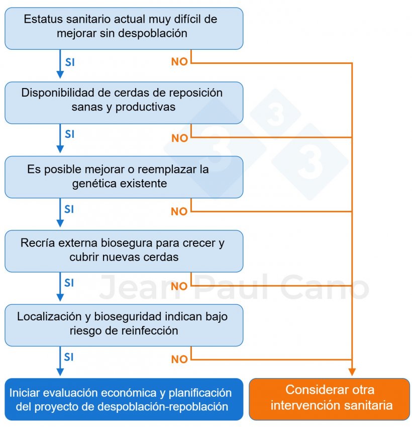 Figura 1. Árbol de decisión para evaluar la viabilidad de realizar una despoblación-repoblación. ¿Es la despoblación-repoblación de interés para mi granja?