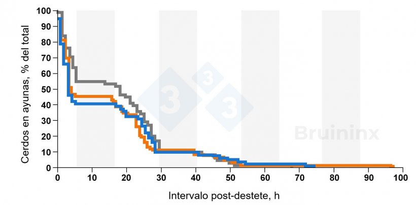 Figura 1. Porcentaje de cerdos destetados que no habían comido después del destete. Las curvas corresponden a cerdos destetados de peso ligero (línea azul), mediano (línea naranja) y pesado (línea gris). Los periodos oscuros se indican con barras sombreadas. Fuente: Bruininx et al., 2001
