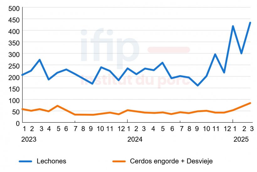 Importaciones mensuales espa&ntilde;olas de cerdos vivos (miles de cabezas). Fuente: IFIP a partir de datos de Eurostat (aduanas).
