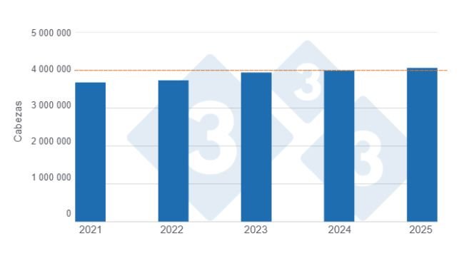 Gráfico 1: Faena de porcinos en el primer semestre de los últimos cinco años. 
Elaborado por el Departamento de Economía y Sostenibilidad de 333 Latinoamérica con datos de la Secretaría de Agricultura, Ganadería y Pesca del Ministerio de Economía de Argentina