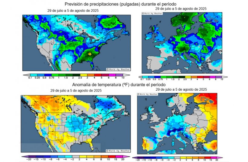 Figura 1. Previsi&oacute;n del clima en los EE.UU. y Europa (fuente: Grads/Cola)
