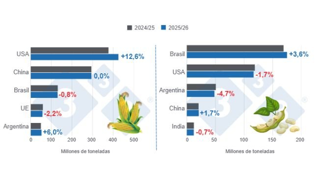 Gráfico 1: Proyección de cosecha para los principales productores mundiales de maíz y soya - campaña 2025/26 versus ciclo 2024/25 - última actualización: 12 de agosto de 2025.  
Elaborado por el Departamento de Economía y Sostenibilidad de 333 Latinoamérica con datos de FAS - USDA