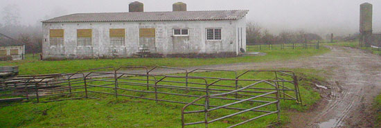 Centro de inseminación