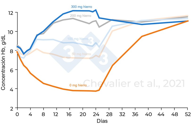 Figura 1. Concentración de hemoglobina dependiendo de las distintas cantidades de hierro administradas (adaptado de Chevalier et al., 2021)