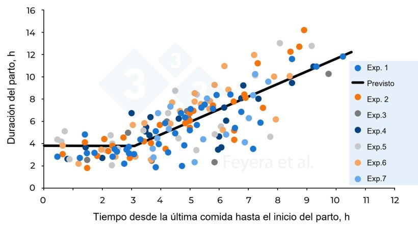 Figura 2. La relaci&oacute;n entre el tiempo transcurrido desde la &uacute;ltima comida hasta el inicio del parto y la duraci&oacute;n del parto.&nbsp;En el&nbsp;Exp. 1, las cerdas recibieron dos raciones diarias mientras que&nbsp;en&nbsp;los&nbsp;Exp. 2 a 7, las cerdas recibieron 3 raciones diarias. Los c&iacute;rculos de diferentes colores indican las cerdas individuales estudiadas en 7 experimentos previos, mientras que la l&iacute;nea continua indica los valores previstos. Feyera et al. (2018): Journal of Animal Science. 96: 2320&ndash;2331.
