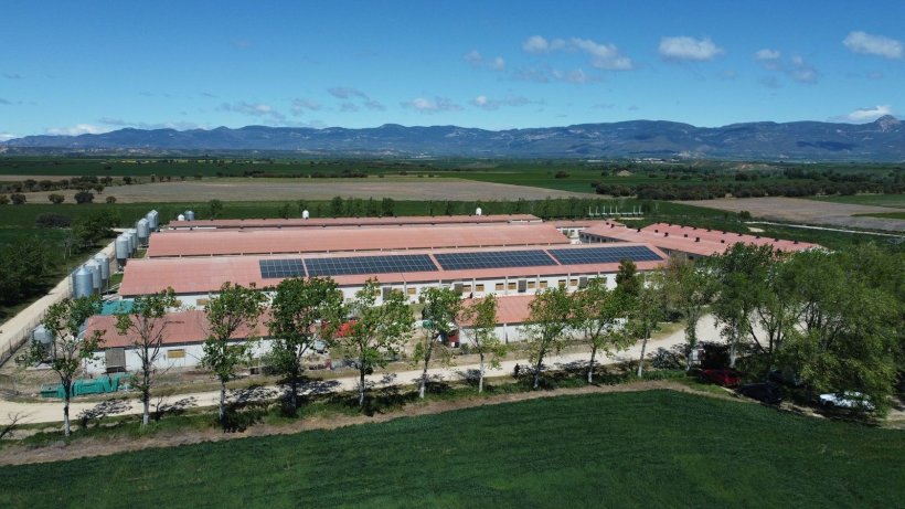 Granja de madres de Lupi&ntilde;&eacute;n
