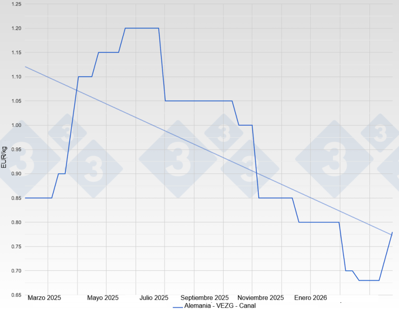 Sow price in Germany - VEZG - Carcass