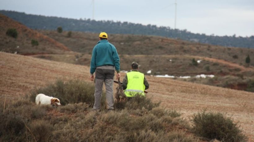 Fuente: Departamento de Agricultura, Ganadería y Alimentación del Gobierno de Aragón.