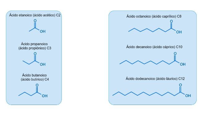 Imagen 1. Estructura de los AGCC y AGCM más utilizados en nutrición porcina.