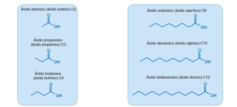 Imagen 1.&nbsp;Estructura de los AGCC y AGCM m&aacute;s utilizados en nutrici&oacute;n porcina.
