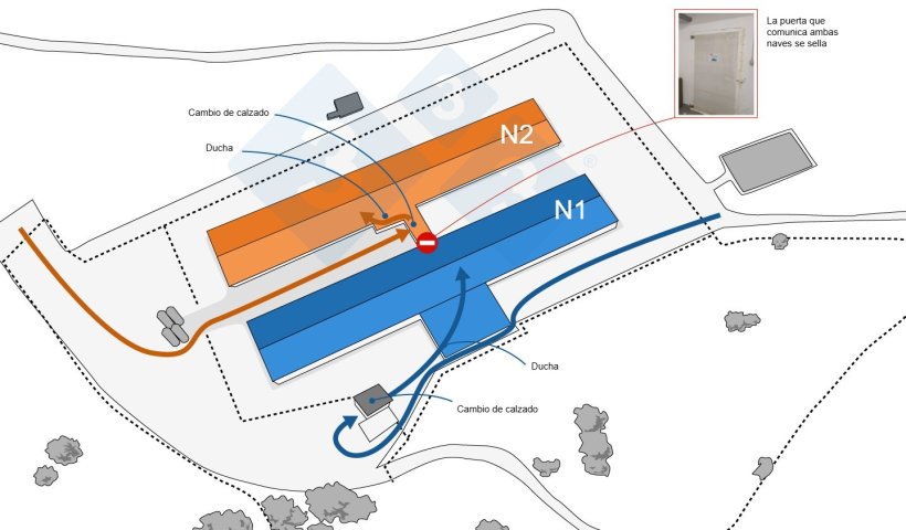 Figura 2. Modificaci&oacute;n del flujo de trabajadores despu&eacute;s del resultado positivo a PRRS.
