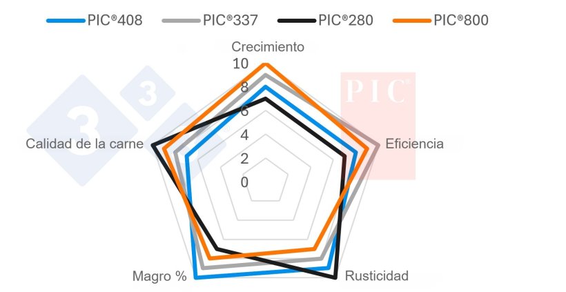 Gr&aacute;fico 1. Esquema del posicionamiento de los verracos PIC&reg;.