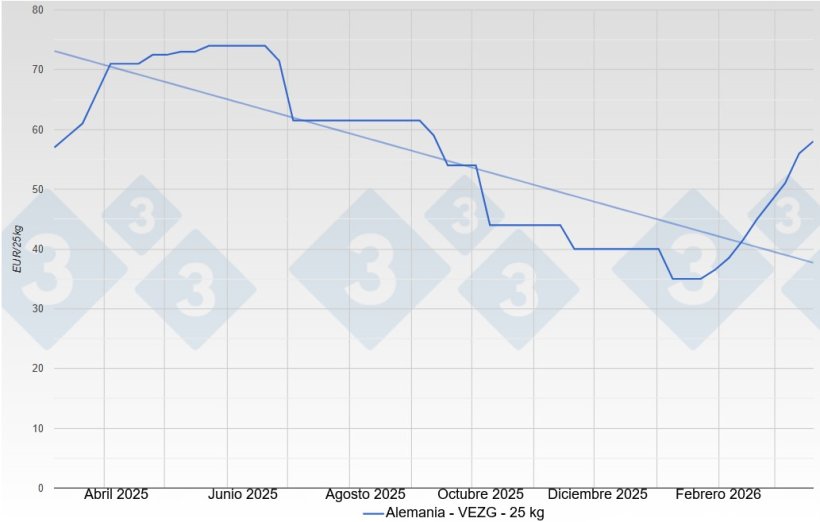 Piglet price in Germany - VEZG - 25 kg