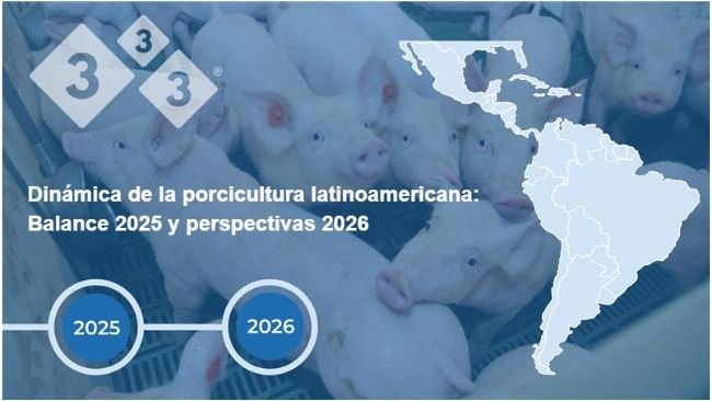 Dinámica de la porcicultura latinoamericana: Balance 2025 y perspectivas 2026