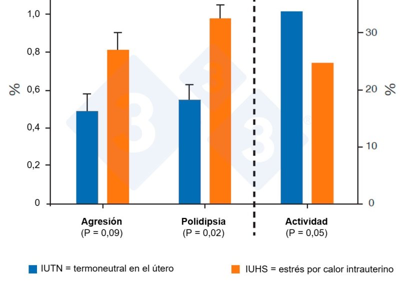 Figura 4. Los cerdos IUHS son m&aacute;s agresivos y menos activos. Fuente: Byrd et al., 2019.
