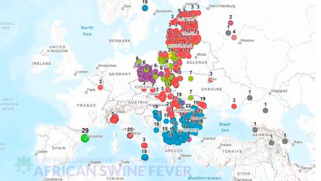 Distribuci&oacute;n geogr&aacute;fica de los subgrupos gen&eacute;ticos del VPPA del genotipo II en Europa, destacando el grupo gen&eacute;tico 29 detectado en Espa&ntilde;a (Fuente: EURL-ASF). 