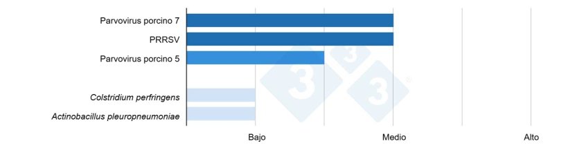 Figura 2. Resultados de una secuenciaci&oacute;n metagen&oacute;mica a partir de un pool de tejido pulmonar de cinco lechones de transici&oacute;n (12 semanas) con depresi&oacute;n, apetito reducido, aumento de la mortalidad, descarga nasal, tos y estornudos.