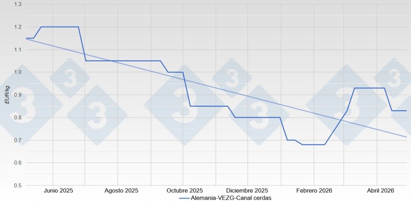 Precio de la cerda en Alemania - VEZG - Canal 