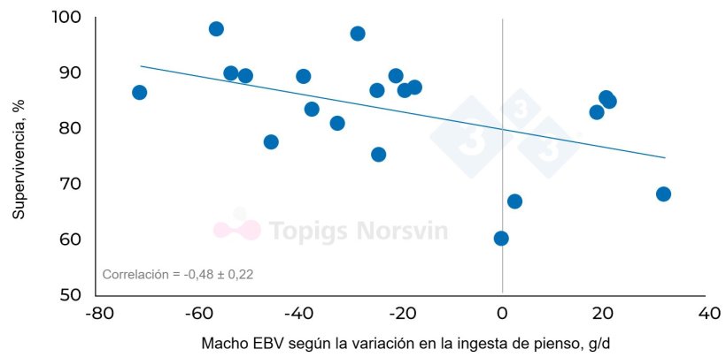 Figura 3. Relación entre los valores genéticos estimados (EBV) para la variación en la ingesta diaria en diferentes machos (n = 20) y la supervivencia de su progenie (n = 1 356 cerdos) en una prueba de desafío frente a múltiples patógenos incluyendo PRRS.