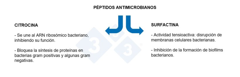 Gr&aacute;fico 3: Propiedades de los p&eacute;ptidos antimicrobianos.