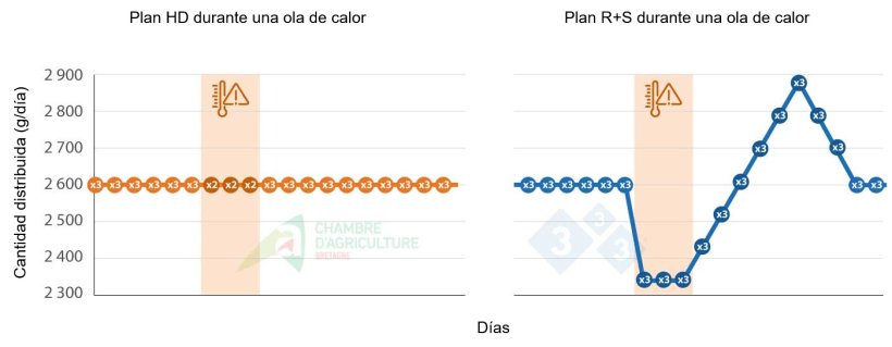 Ejemplo de plan de alimentación durante una ola de calor. Fuente: CAB.