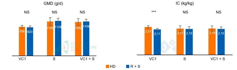Figura 1: GMD e IC durante la primera ola de calor del lote 1 (VC1), durante la fase de sobrealimentación (S) que le siguió, y el acumulado de ambas fases (VC1 + S).