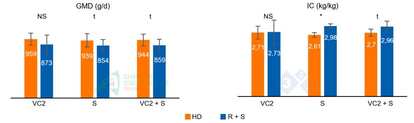 Figura 2: GMD e IC durante la segunda ola de calor del lote 1 (VC2), durante la fase de sobrealimentación (S) que le siguió, y el acumulado de ambas fases (VC2 + S).