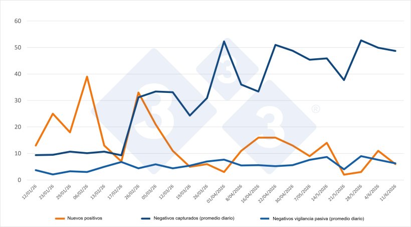 Evoluci&oacute;n de positivos, capturas y vigilancia pasiva semanal en las zonas I y II. Fuente: 333 a partir de datos del MAPA.