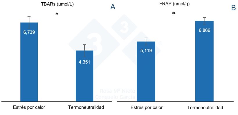 Figura 2. Estado oxidativo de la cerda ib&eacute;rica lactante sometida a estr&eacute;s por calor (EC) y bajo condiciones de termoneutralidad (NO-EC) determinado en plasma. A: representa estr&eacute;s oxidativo medido por la t&eacute;cnica de Sutancias Reactivas al &Aacute;cido Tiobarbit&uacute;rico (TBARs); B: representa capacidad antioxidante medido mediante la t&eacute;cnica del Poder Reductor Antioxidante del Hierro (FRAP)&nbsp;(Garc&iacute;a-Contreras et al., 2025b). * p<0.001
