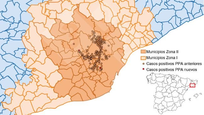 Localización detallada de los casos de jabalíes silvestres detectados en la zona restringida II (semana 25). Fuente: 333 a partir de datos del MAPA y SVO.