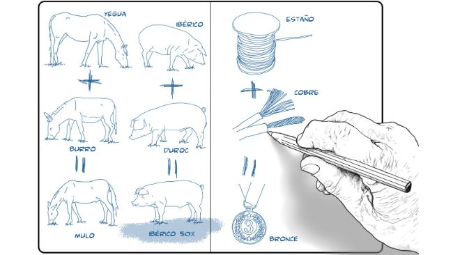 &iquest;Es iberico 50% un buen nombre para definir un ib&eacute;rico cruzado?
