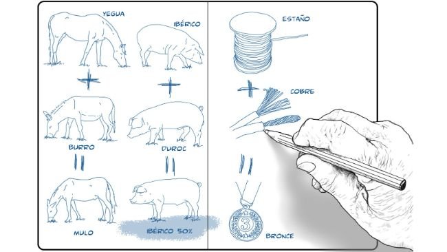 ¿Es iberico 50% un buen nombre para definir un ibérico cruzado?