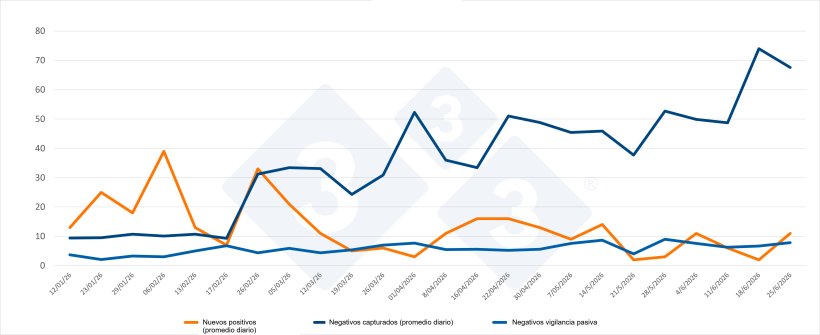 Evoluci&oacute;n de positivos, capturas y vigilancia pasiva semanal en las zonas I y II. Fuente: 333 a partir de datos del MAPA.