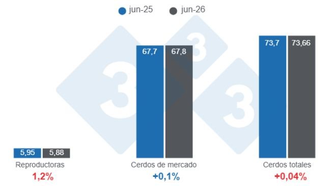 Gráfico 1: Inventario de porcinos en Estados Unidos con corte al 1 de junio de 2026, cifras en millones de cabezas, variaciones anuales.
Elaborado por el Departamento de Economía y Sostenibilidad de 333 Latinoamérica con datos de USDA - NASS