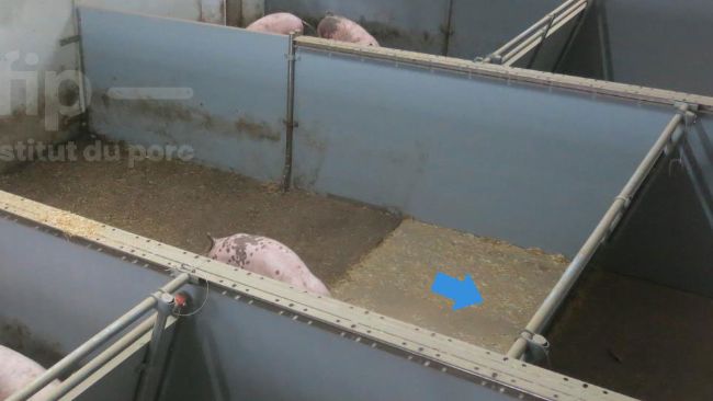 Zone int&eacute;rieure du b&acirc;timent en gisoir int&eacute;gral mais avec une surface &eacute;volutive pour s&rsquo;assurer&nbsp;qu&rsquo;elle reste une zone de couchage propre
