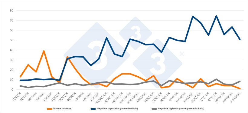 Evolución de positivos, capturas y vigilancia pasiva semanal en las zonas I y II. Fuente: 333 a partir de datos del MAPA.