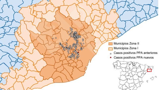 Localización detallada de los casos de PPA en jabalíes silvestres detectados en la zona restringida II (semana 31). Fuente: 333 a partir de datos del MAPA y SVO.