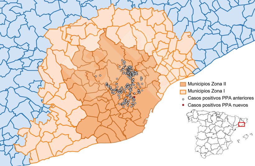 Localización detallada de los casos de PPA en jabalíes silvestres detectados en la zona restringida II (semana 31). Fuente: 333 a partir de datos del MAPA y SVO.