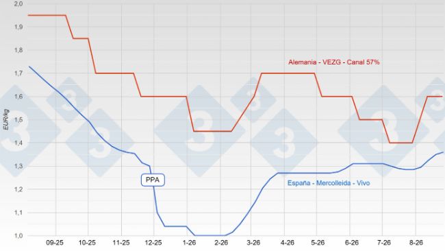Evoluci&oacute;n del precio del cerdo en Espa&ntilde;a y Alemania en agosto de 2026