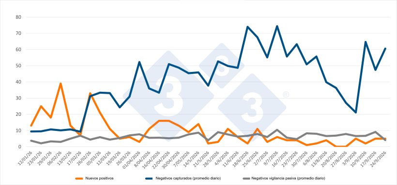 Evolución de positivos, capturas y vigilancia pasiva semanal en las zonas I y II. Fuente: 333 a partir de datos del MAPA.