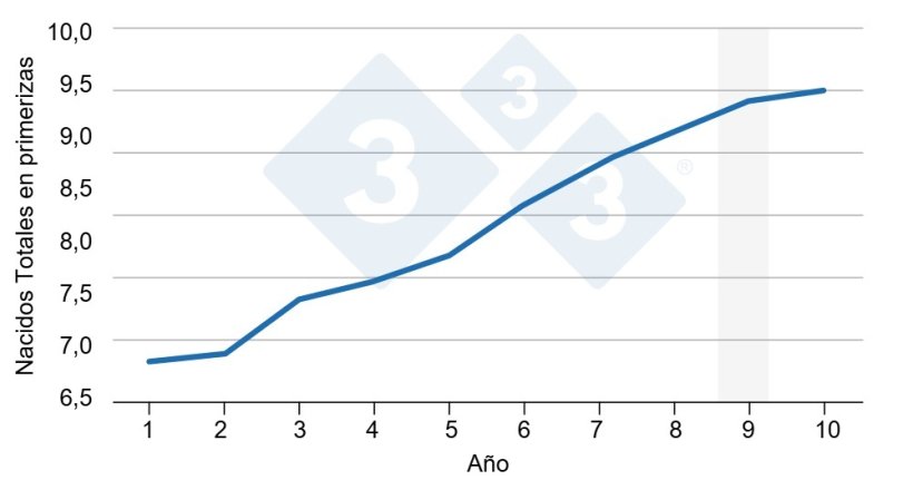 Figura 2. Evolución Nacidos Totales en primerizas. Evolución media de nacidos totales en primerizas en 10 años. Datos reales de pool de 2 granjas de multiplicación, representando aproximadamente 3000 cerdas ibéricas. En gris se marca cuando se incluirían nuevos caracteres de supervivencia en lactación.